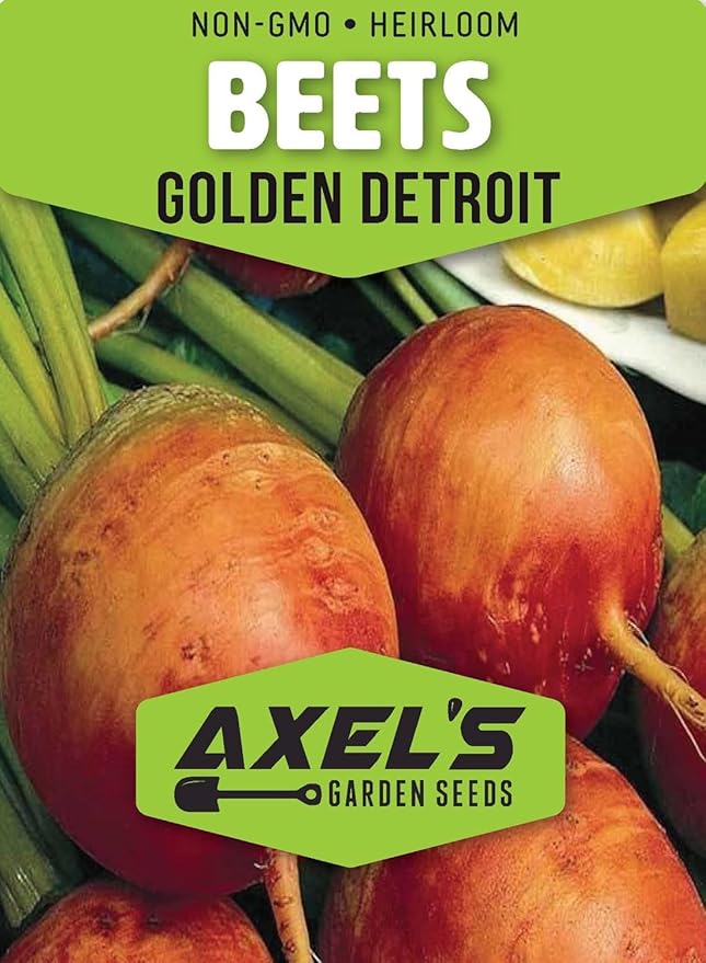 Beet Seeds for Planting - Plant &amp Grow Heirloom Beet Varieties Home Outdoor Vegetable Garden – Easy Grow Planting Packets Beta vulgaris – 5 Packets of Each Variety