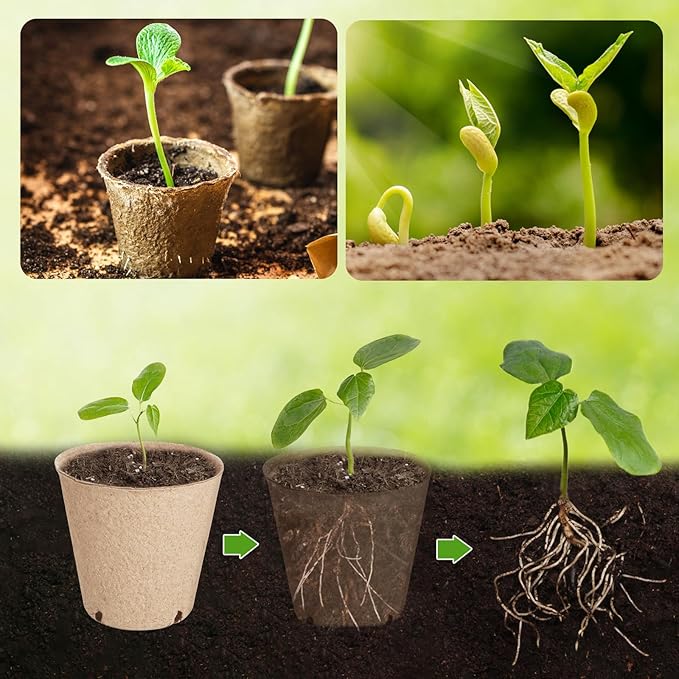 132 Pack Organic Peat Pots 3.15 Inch Nursery Pot Round Plant Seedling Pots with Drainage Holes Small Seed Starting Starter Tray Bulk Garden Germination Container with 132 Planting Labels(8 cm)