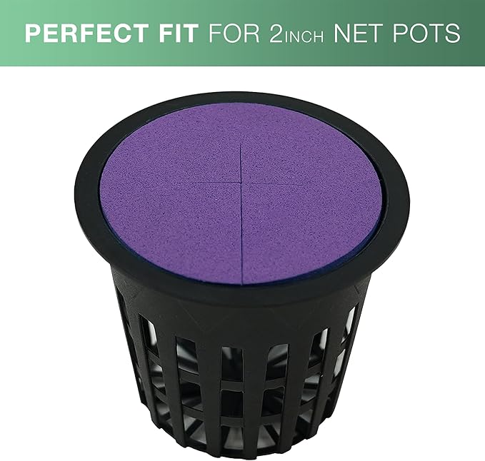 2” Neoprene Foam Inserts for Hydroponics Growing System Clone Machine Propagation Indoor Gardening 100 Pack Purple
