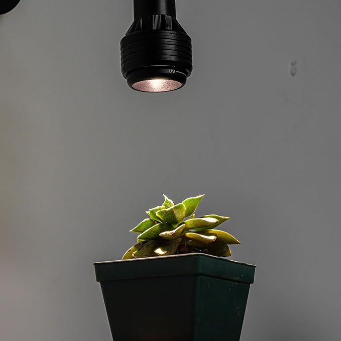 Hook Type Wall Mounted Plant Light Full Spectrum 4500K 10W Adjusted Angle &amp Light Beam Range 15°-60° Vintage White Metal Wall Lamp for Indoor Growing Plants