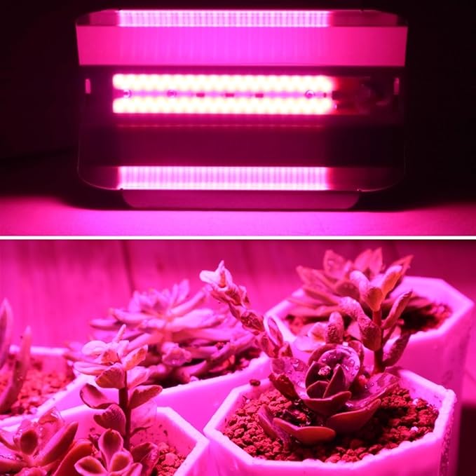 30W 50W 80W LED Grow Light AC 110V 220V Growth Floodlight Full Indoor Plant Light Greenhouse Cob Flood Grow Light(50W220V)