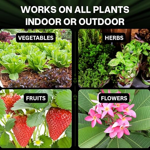 Xtreme Gardening CalCarb Calcium Foliar Spray — Supports Photosynthesis Stress Resistance &amp Prevents Blossom End Rot — for Indoor &amp Outdoor Plants 6 oz