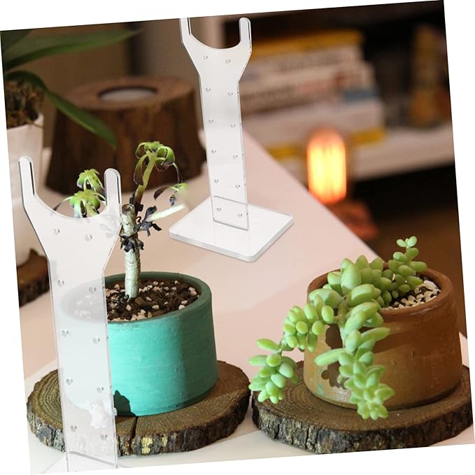 Professional Vertical Grow Light Stand for Indoor Plants Adjustable Height Acrylic Frame for Succulent Efficient LED Lighting
