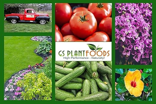 GS Plant Foods Root Ruckus Compost Fertilizer Organic Plant Food - Humic Acid &amp Sea Kelp Nutritional Root Supplement for Lawns Soil Shrubs &amp Vegetables - 55 Gallons