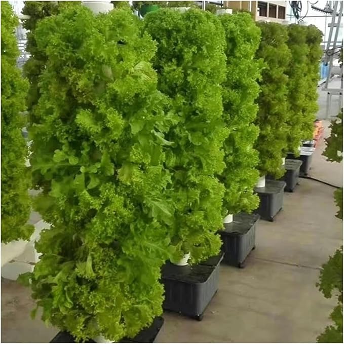 Hydroponics Growing System Hydroponics Growing System Smart Planter Frame with Full Spectrum Led Lights Automatic Timer Intelligent Garden Tools Indoor Hydroponic Tower