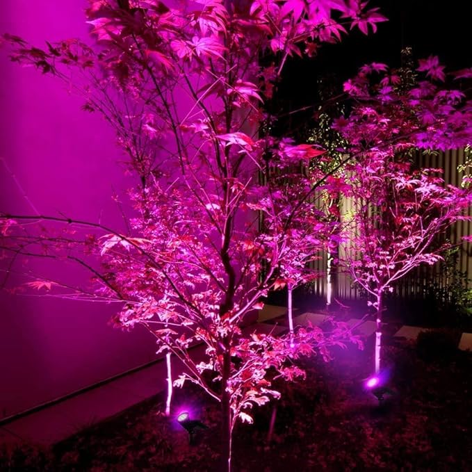 Generic Solar Landscape Lights 4 LED Solar Spotlights 2 in 1 Waterproof Security Light Solar Lights Outdoor (Pink)