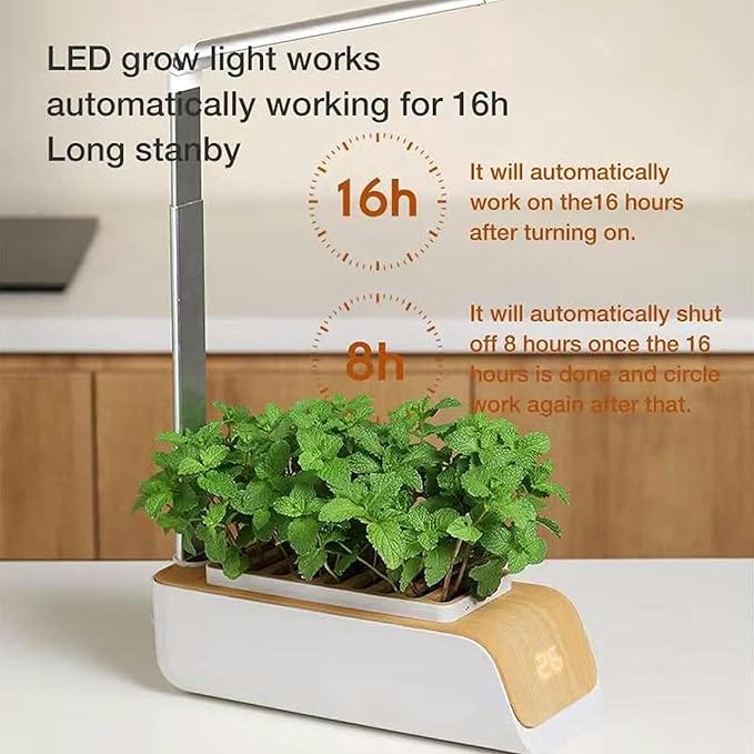 Hydroponic Systems Interior Plants Cultivation Lights Without Seasonal Restrictions Adjustable Height Interior Gardening Kit Suitable for Seedlings/Seeds/Succulents