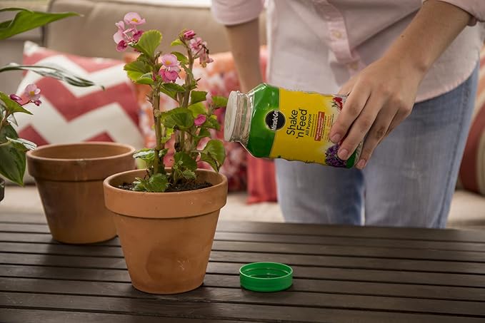 Miracle-Gro Shake 'n Feed All Purpose Continuous Release Plant Food 1-Pound (Slow Release Plant Fertilizer)