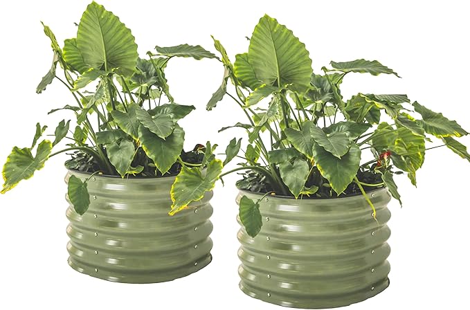 17 Tall Herb Raised Garden Bed for Basil Lavender Sages 24 Wide Round Fruit Tomato Planter Box for Gardening Blueberries Figs Flower Metal Pot Container for Rose Twin Pack Olive Green