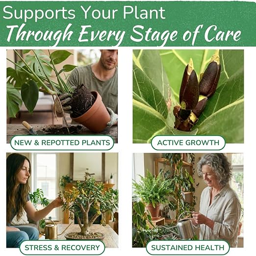 Indoor Plant Food by Houseplant Resource Center - Organic Liquid Fertilizer for Pothos Peace Lily Monstera Cactus and More - 8 oz