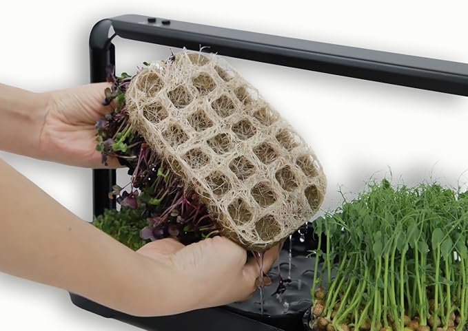 Microgreens Growing Trays Bundle Grow Lamp 6 Silicone Trays18 Jute Mats Microgreens Growing Kit Seed Sprouting &amp Indoor Grow Accessories (No Seeds)