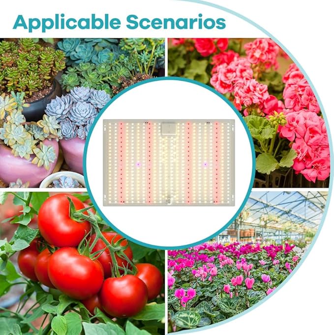 200W Full Spectrum LED Plants Light UV/IR Indoor Seedings Cultivation Lights 110V Sunlike Sapling Greenhouse Tent Vege Fruit Flower Moss Hydroponic Succulent Potted Moss Lighting Hanging with US Plug