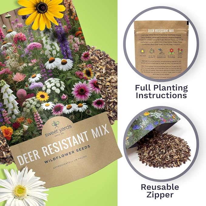 Deer Resistant Wildflower Seed Mixture - Bulk 1/4 Pound Bag - Over 60000 Deer Tolerant Seeds - Open Pollinated and Non GMO