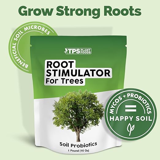 Root Stimulator for Trees – Prevents Transplant Shock with Beneficial Bacteria &amp Mycorrhizae for Rapid Root Establishment 16 oz