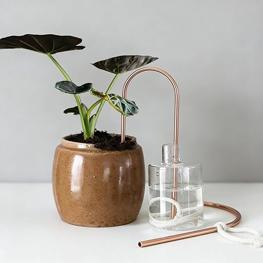Self-Watering Plant Wick System Brass and Cotton U-Shaped Automatic Drip Irrigation for House Plants (Rose Gold)