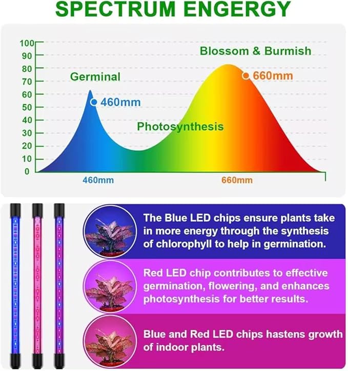 Grow Light with Stand Grow Lights for Indoor Plants with 36W Full Spectrum LED 10 Dimmable Brightness 6/9/12H Timer 3 Lighting Modes Adjustable Gooseneck Suitable for Various Plants Growth