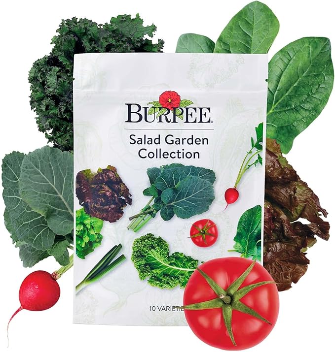 Burpee Salad Garden Collection 10 Packets of Non-GMO 4 Lettuce Varieties Tomato Radish Spinach Kale Scallions &amp Mesclun Mix | Seeds for Planting Vegetables