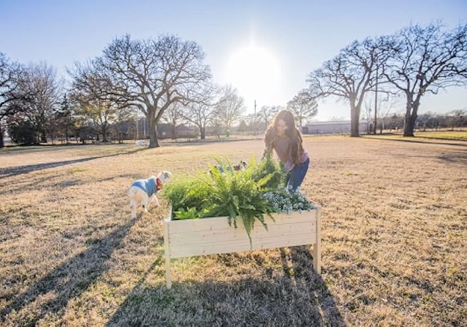 Zylina Wood Raised Garden Bed - X-Large 48x36x22 Raised Planter Boxes for Outdoor w/Legs Garden Beds Outdoors Grow Vegetables Herbs and Beautiful Flowers on Patio Balcony or Backyard.