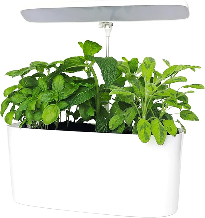 SunBlaster Nano Growlight Garden Indoor Herb Garden Countertop Planter Passive Hydroponic Sytem w/Dimmable LED Light Timer &amp Adapter