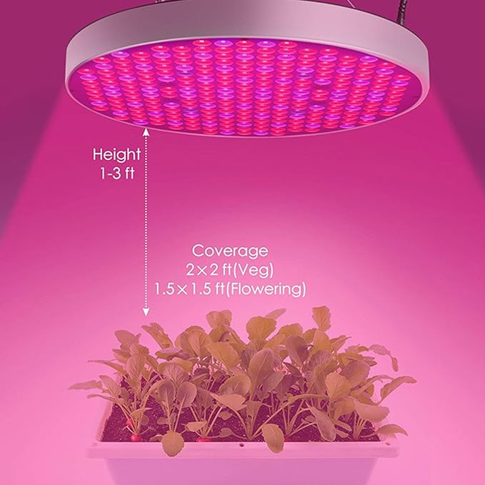 LED Plant Grow Light 250 LEDs Full Spectrum Phytolamp Dimmable Plant Grow Light for Indoor Plants Seeding Veg &amp BloomSilver