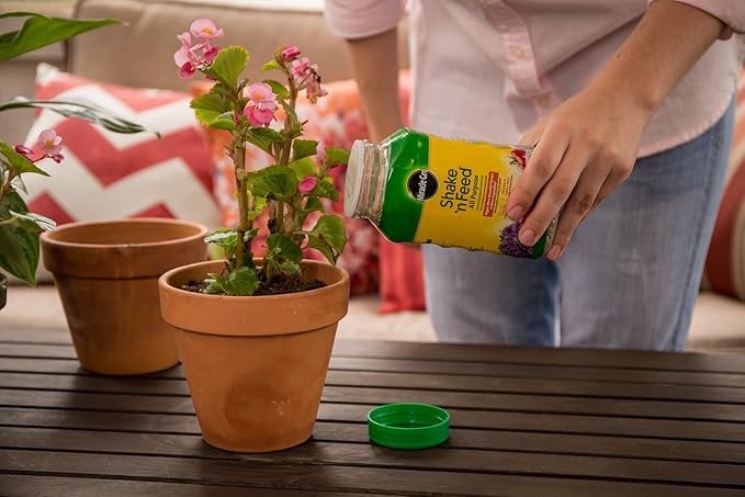 Miracle-Gro Shake 'n Feed All Purpose Continuous Release Plant Food 1-Pound (Slow Release Plant Fertilizer)