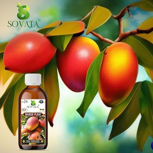 Sovata® Mango Tonic Fertilizer Essential Organic Powerful Liquid Tonic for Fast Growth and Heavy Fruiting of Mango Plants. (200 ml)