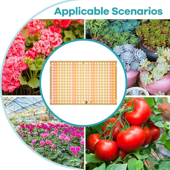 300W LED Full Spectrum Hydroponic Moss Light UV/IR Indoor Seedings Cultivation Lights 110V Sunlike Greenhouse Tent Sapling Vege Fruit Flower Moss Succulent Potted Moss Lighting Hanging 100-277V