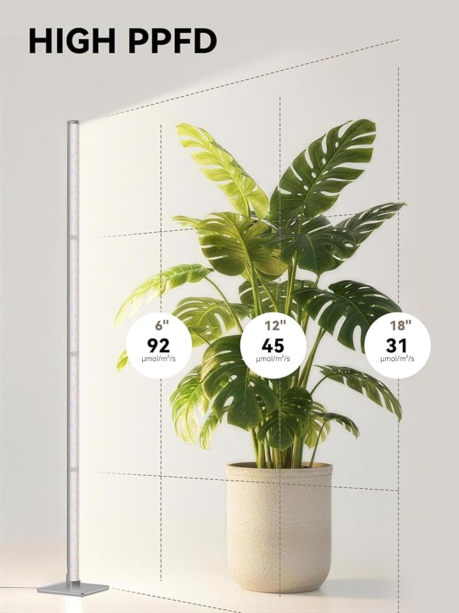 GLOWRIUM Grow Lights for Indoor Plants 36W Vertical Plant Grow Lights with Auto-Timer Full Spectrum LED Standing Plant Grow Light 3 Light Modes 6-Level Dimmable (60 in(Silver))