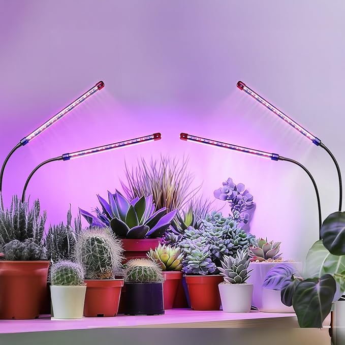 Grow Lights for Indoor Plants - Red &amp Blue Spectrum LED Plant Light with Auto 3/9/12H Timer 10 Dimmable Levels &amp Sturdy Gooseneck - Ideal for Herbs Succulents Houseplants in Home/Office
