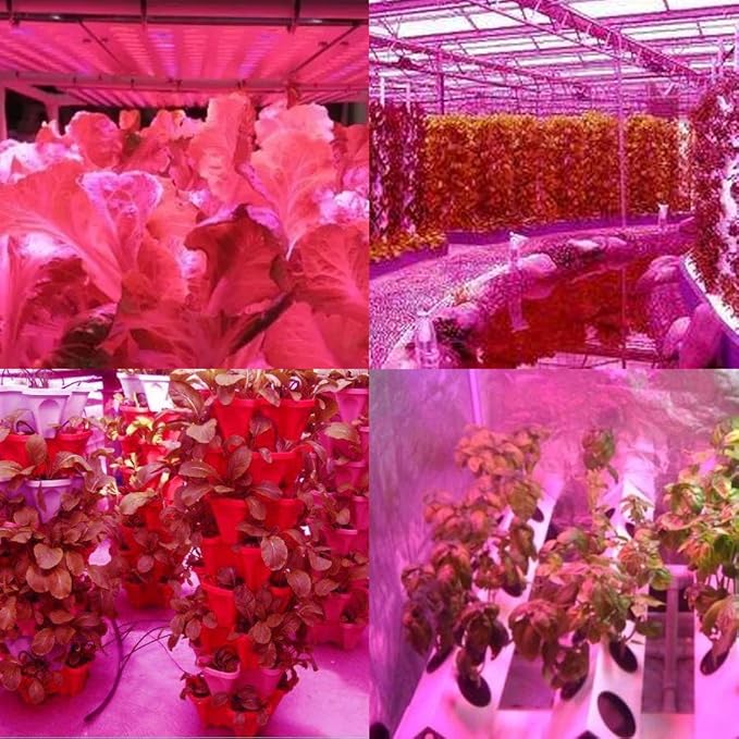 LED Grow Light for Indoor Plants Growing Lamp 600W Dual Chips 380-730nm Plant Lights Bulb Panel Hanging Kit for Seedling Hydroponics Greenhouse Veg and Flower Full Light Spectrum