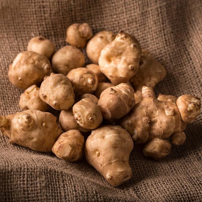 8 Oz Jerusalem Artichoke Tubers for Planting High Yield Sunchoke Rhizomes Bulbs for Planting Cold Hardy Gardening Indoor Outdoor