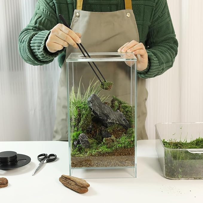 Desktop Glass Plant Terrarium with Grow Light(L7.8 W7.8 H14) for Succulent Moss Miniature Gardening Landscape Betta Fish Tank Indoor Plant Growth Office Home Decoration (TimeControlled)