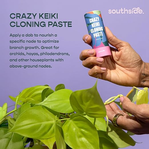 Southside Prop Box – Holiday Gift Set for Plant Lovers - Includes Keiki Paste Root Drops Leafy Plant Food &amp Propagation Cones - Complete Indoor Plant Propagation &amp Care Kit