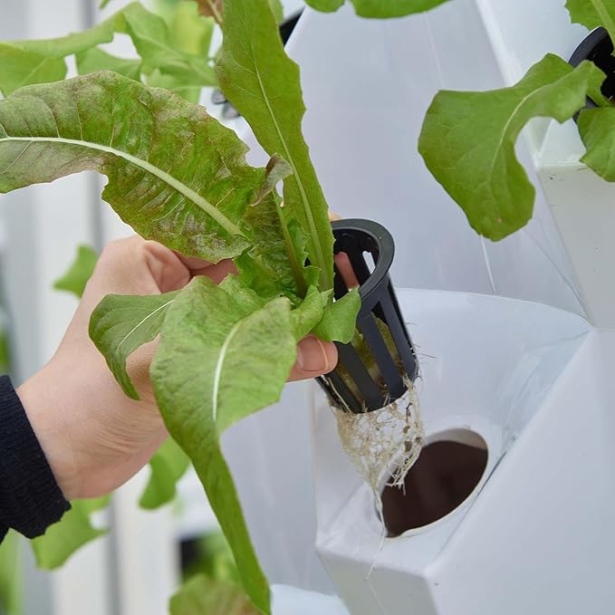 8 Tier 64 Slots Hydroponics TowerHydroponics Growing System for Indoor Fruits and VegetablesAeroponic Tower with Hydrating Pump TimerAdapter SpongeVertical Planting Standalone Aeroponic Garden