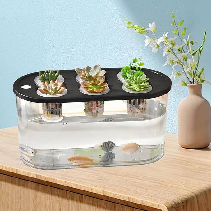 Hydroponics Grower Box Desktop Micro Landscape Tank with 6 Holes Indoor Tabletop Mini Aquarium for Vegetables Plants and Fish- Black