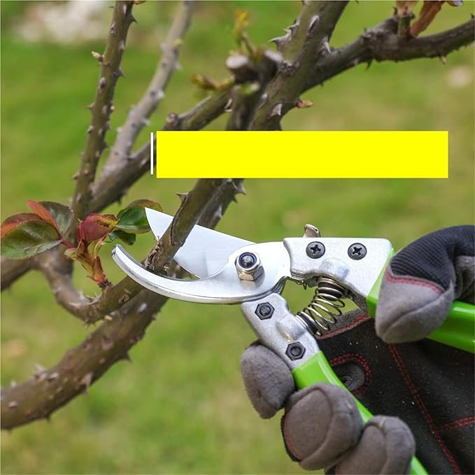 8-Piece Garden Tool Set Heavy Duty Stainless Steel with Wooden Handle Hand Tools Suitable Gift for Gift Giving