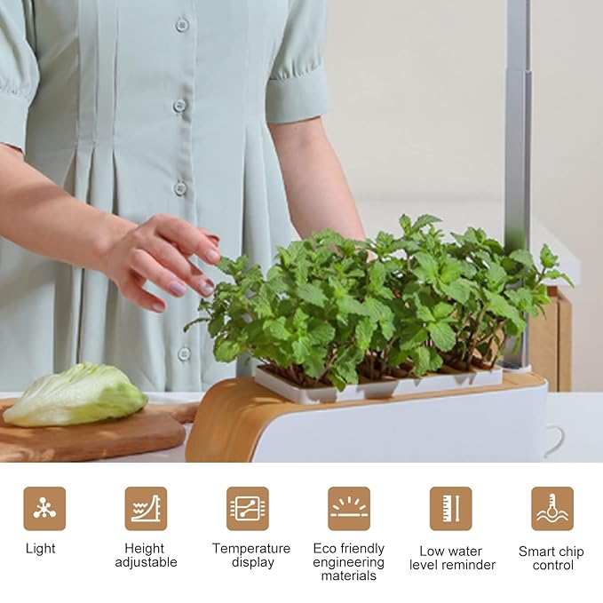 Indoor Gardening System Hydroponic Plant Growing System Indoor Home Herb Garden Set Indoor Vegetable Growing System Hydroponic Planter for Home Kitchen Office