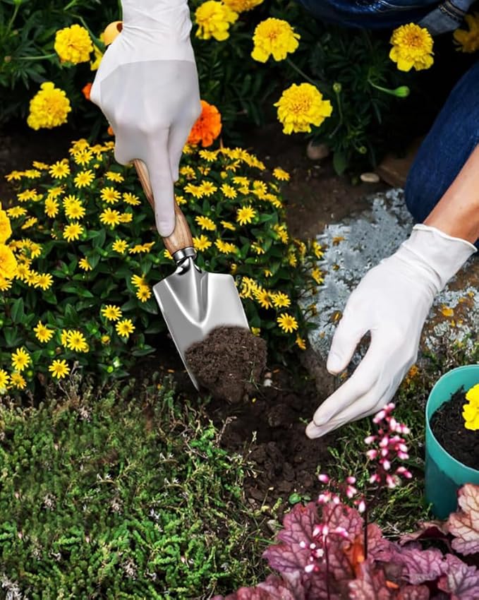 Home Garden Tool Set 5 Piece Gardening Tools Stainless Steel Gardening Kit with Wooden Handle Garden Shovel Cultivate Garden Rakes Garden Shovel For Excavation Growing Measurement Transplanting