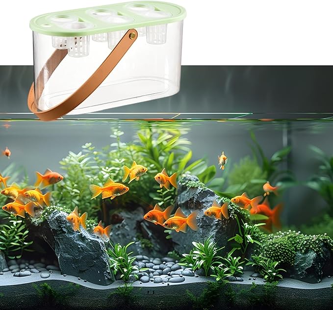 MYCENSE Hydroponics Grower Box Hydroponics Tool with 6 Holes Hydroponic System Growing Box Indoor Tabletop Mini Aquarium for Indoor Green