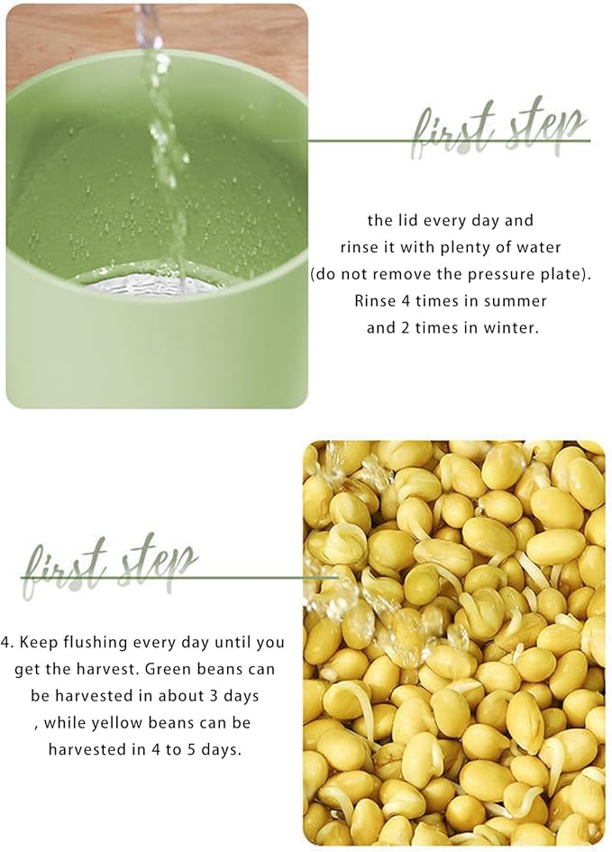 Easy to Use Automatic Sprouts Maker Simple Three Step Operations Year Round Cultivation Natural Germination Methods User Friendly Sprouting Machine