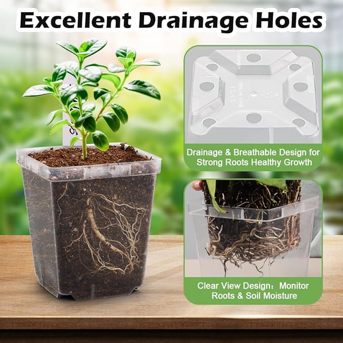 3.3 Inch Clear Nursery Pots with Drainage90 Pack Square Seedling Pots with Plant LablesReusable Seed Starter Pots for Succulents Transplanting Herbs Flowers Tomato Windowsill Gardening