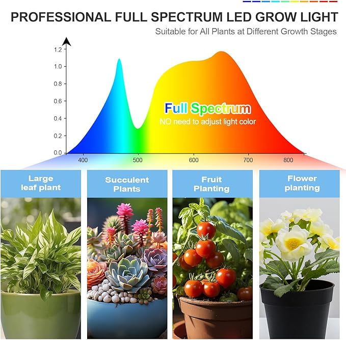 3Head Tabletop Grow Lights for Indoor Plants Seed Starting Vegetables Bonsai Bright Desk Plant Growing Lamps 4/8/12/16/20H Timer 27 Watt Power Draw NO Need Adapter 360° Gooseneck