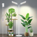 Wiaxulay Grow Lights for Indoor Plants 306 LED Full Spectrum Plant Light with Stand Height Adjustable 24-68 in for Growing Large Tall Plants 4/8/12/16H Timer3 Lighting Modes5 Brightness (2 Heads)