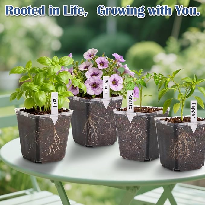 5.5 Inch Clear Square Nursery Pots with Drainage &amp Labels 30Pcs Reusable Seed Starter Pots for Vegetables Indoor Outdoor Gardening Thick Transparent Plastic Plant Pots for Seed Starting