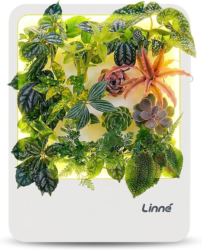 Indoor Garden Hydroponic System with LED Grow Light Indoor herb Garden Indoor Garden Hydroponic System with LED Grow Light (White)