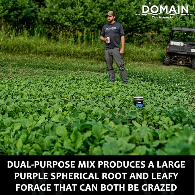 Domain Outdoor Smack Down Food Plot Seed 1/2 Acre Variety of Purple Top Turnip and Forage Turnip Attractive Forages No Matter The Time of The Year High Levels of Protein and Energy Fast to Mature