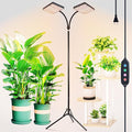 2026 2Head Grow Light with Upgrade Stand Big Coverage Grow Lights for Indoor Large Plant Bonsai Tree 4/8/12/16/20H Timer 50 Watt Power Draw NO Need Adapter 24-76 Height Adjustable
