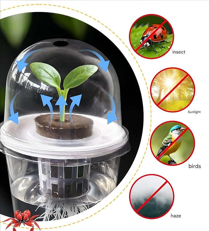 Hydroponics Growing System 5-Set Plant Germination Kit 2026 New – Hydroponics Supplies Planting Container Kit for Beet Canola PP Durable Material No Soil Needed Easy Installation