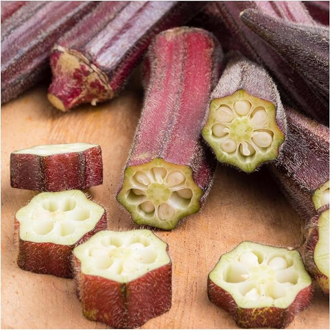 Everwilde Farms - 1 Lb Organic Red Burgundy Okra Seeds - Gold Vault Packet