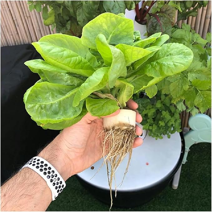 Garden Hydroponic Growing Vertical Tower Automate Aeroponics Mini Indoor Outdoor Home Grow Without Led LightHydroponic Growing Kits Syste